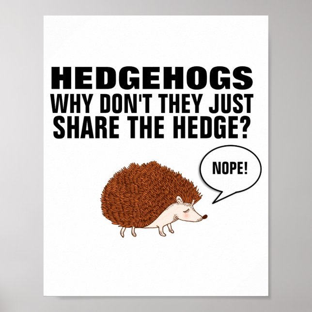 Igelkottar Varför delar de inte bara häcken  Poster (Framsidan)