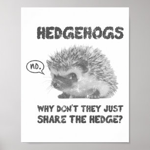 Igelkottar Varför delar de inte bara häcken Poster