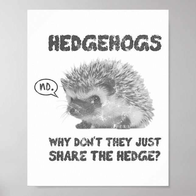 Igelkottar Varför delar de inte bara häcken  Poster (Framsidan)