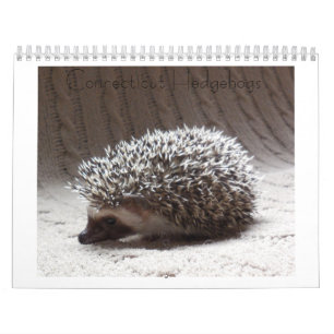 Igelkottbebiskalender 3 kalender