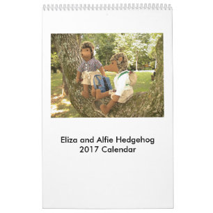Igelkottdockakalender 2017 kalender