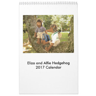 Igelkottdockakalender 2017 kalender