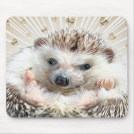 Igelkottkärlek Mousepad Musmatta