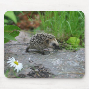Igelkottmousepad - anpassade musmatta