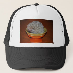 IgelkottSundae Keps