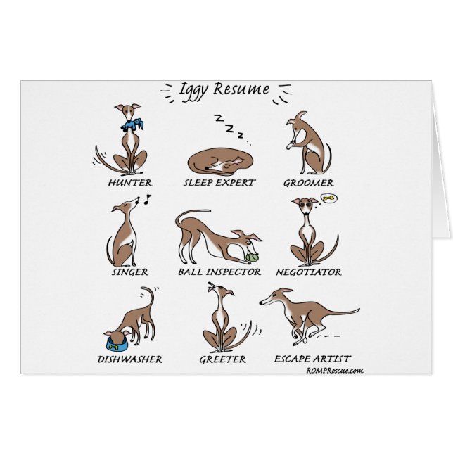 Iggy rädding hälsningskort (Framsidan Horizontal)