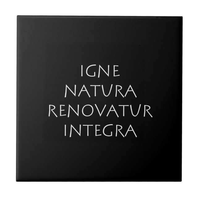 Igne natura renovatur intergra kakelplatta (Framsidan)