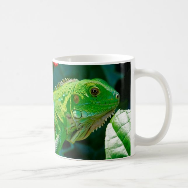 Iguana 1 Mugg (Höger)