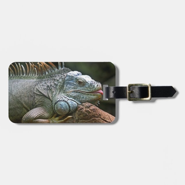 Iguana anpassningsbar bagagetagg bagagebricka (Horisontell Framsida)