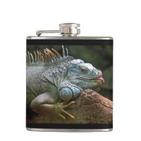 Iguana anpassningsbar-kolv