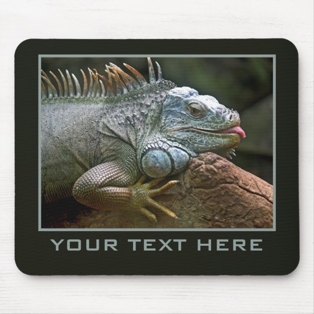 Iguana anpassningsbar mousepad musmatta (Framsidan)