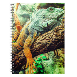 Iguana Anteckningsbok