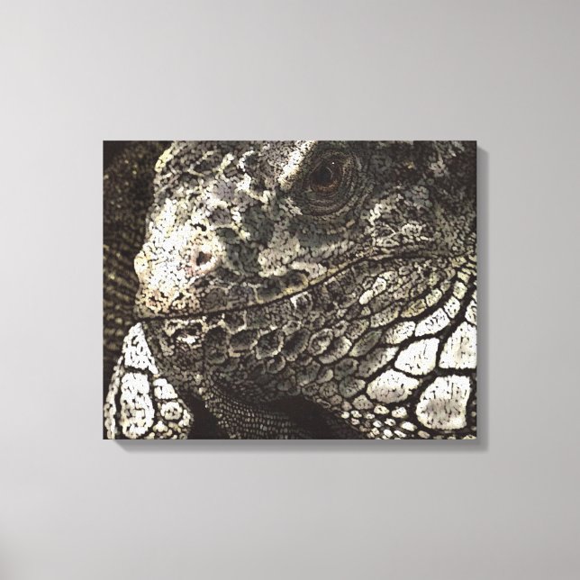 Iguana Canvastryck (Framsida)
