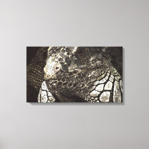 Iguana Canvastryck