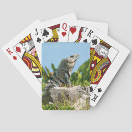 Iguana Casinokort