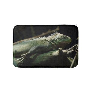 Iguana delicatissima badrumsmatta