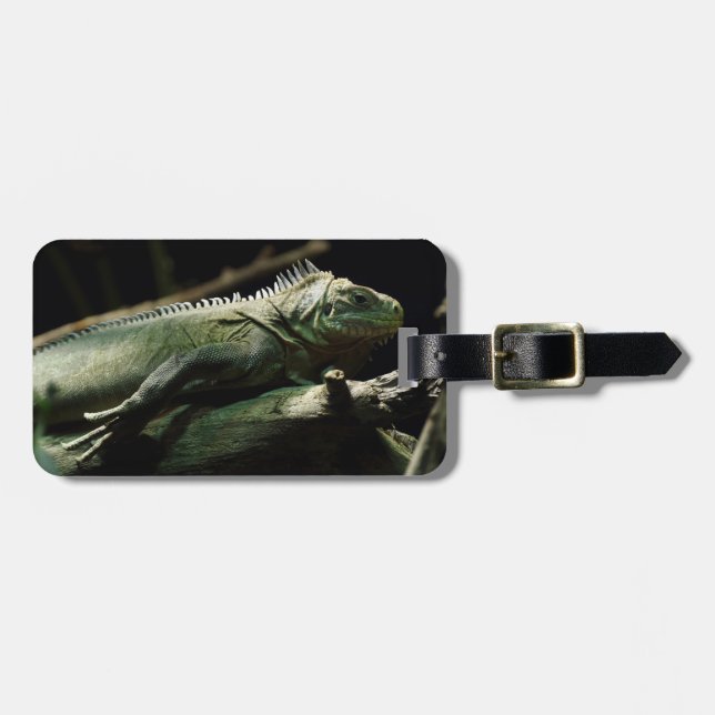Iguana delicatissima bagagebricka (Horisontell Framsida)