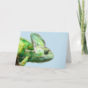 IGUANA FÖDELSEDAGSKORT KORT