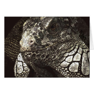 Iguana Hälsningskort
