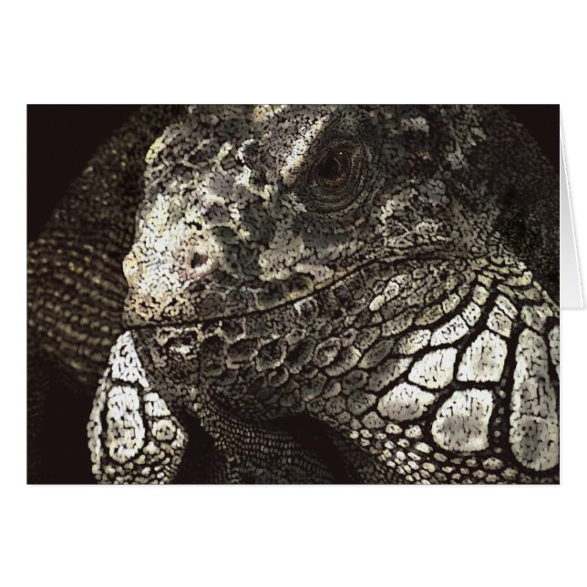 Iguana Hälsningskort (Framsidan Horizontal)