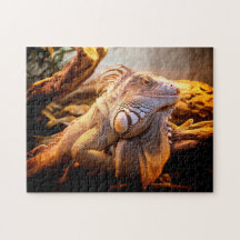 Iguana Head Close, Jigszawa Puzzle
