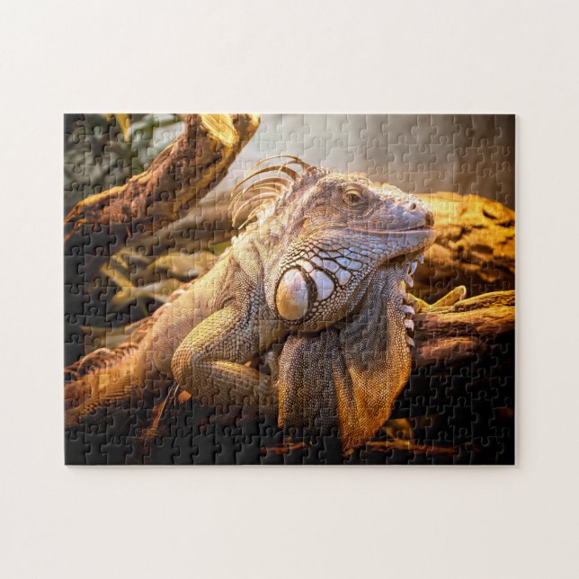 Iguana Head Close, Jigszawa Puzzle Pussel (Horisontell)