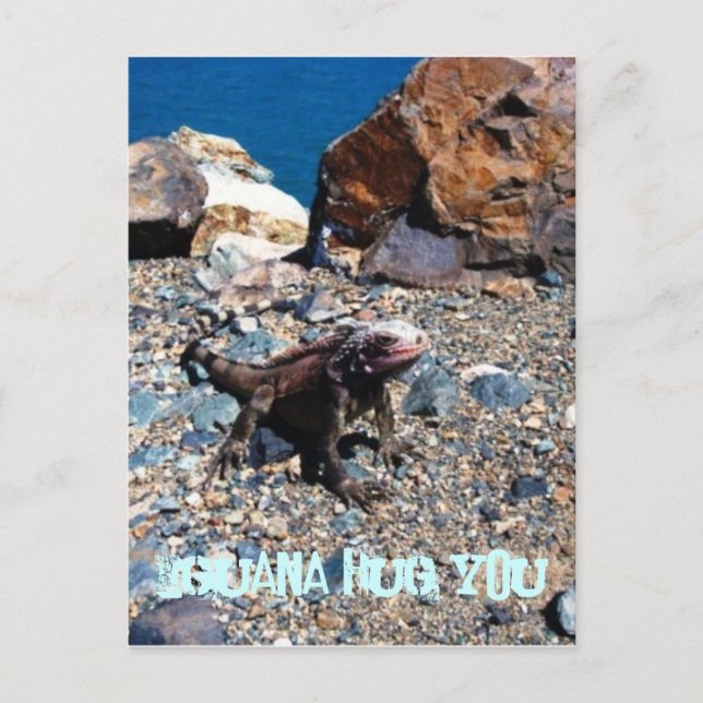 Iguana Hug You Postcards Vykort (Framsida)