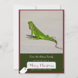 Iguana-julkort Julkort