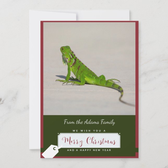Iguana-julkort Julkort (Framsida)