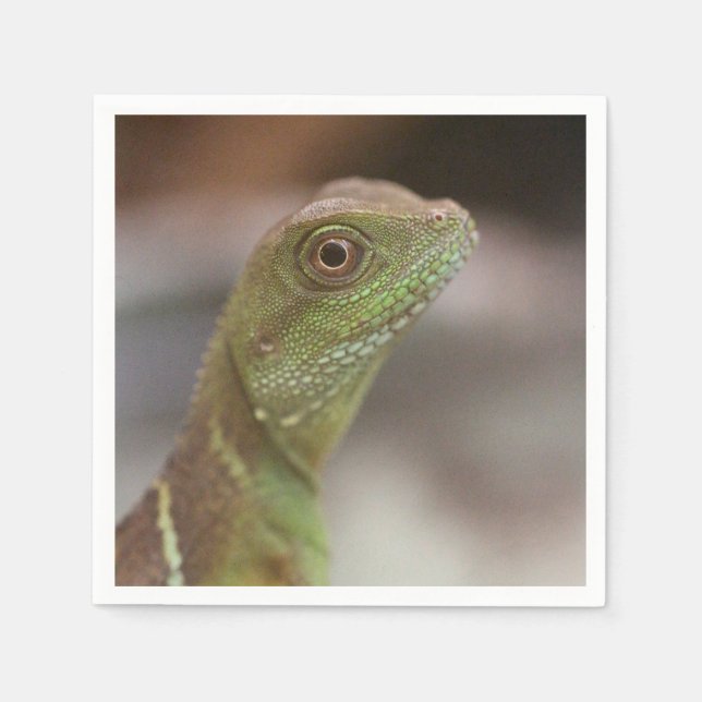 Iguana kiss pappersservett (Framsidan)