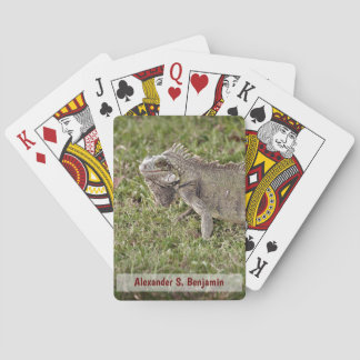 Iguana Lizzard Pet Animal Natature Personalize Casinokort