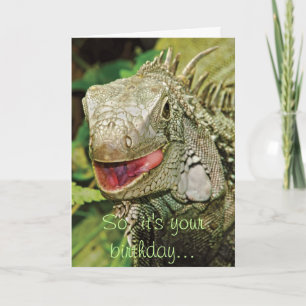 Iguana lustig födelsedag kort