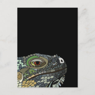 Iguana Ödla Djur Iguana Vykort