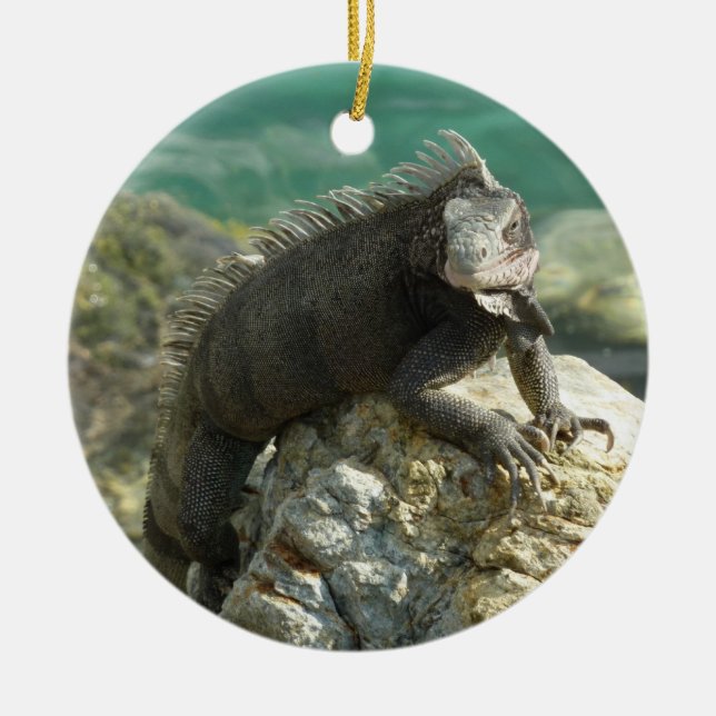 Iguana på Sten vid St. Thomas Julgransprydnad Keramik (Framsidan)