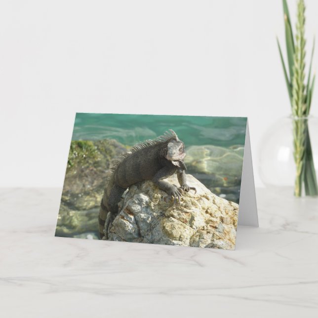 Iguana på Sten vid St. Thomas Kort (Framsida)