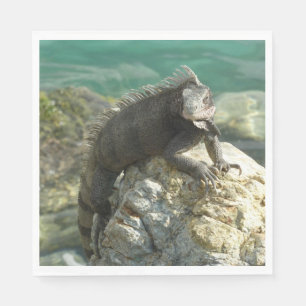Iguana på Sten vid St. Thomas Pappersservett
