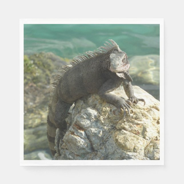 Iguana på Sten vid St. Thomas Pappersservett (Framsidan)