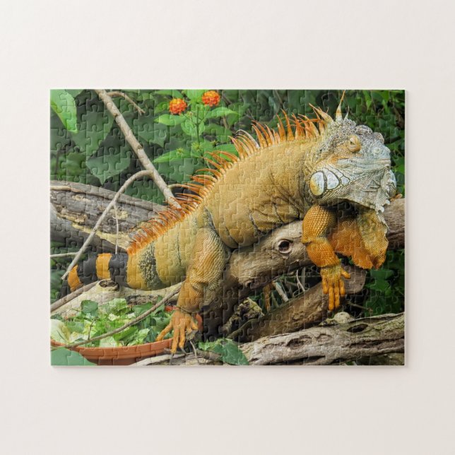 Iguana Photo Puzzle Pussel (Horisontell)