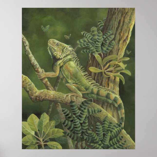 Iguana Poster (Framsidan)