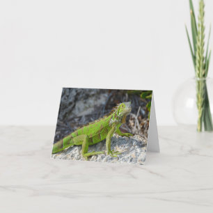 Iguana säger att jag saknar dig hälsning kort