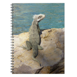 Iguana Tropical Wildlife Photography at St. Thomas Anteckningsbok Med Spiral