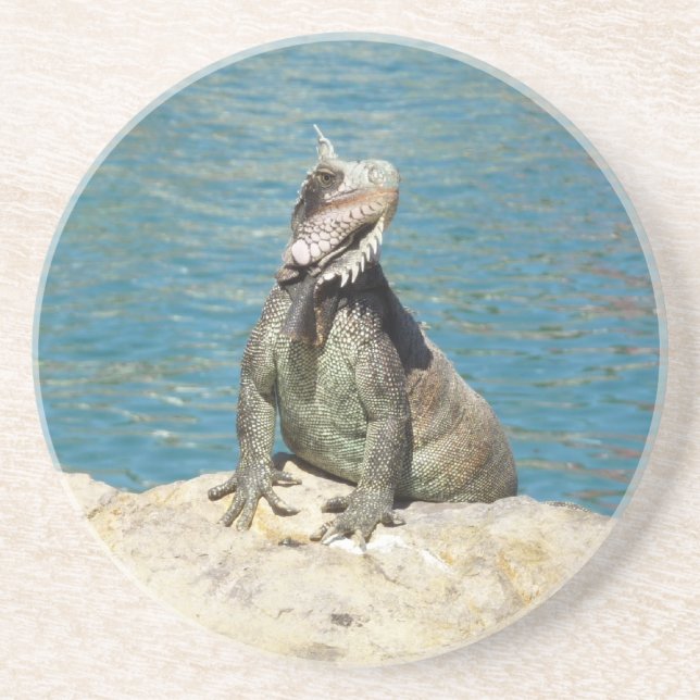 Iguana Tropical Wildlife Photography Underlägg (Framsidan)