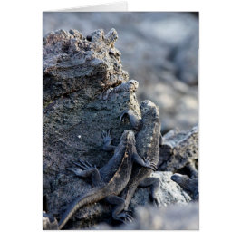 Iguana var med dig hälsningskort