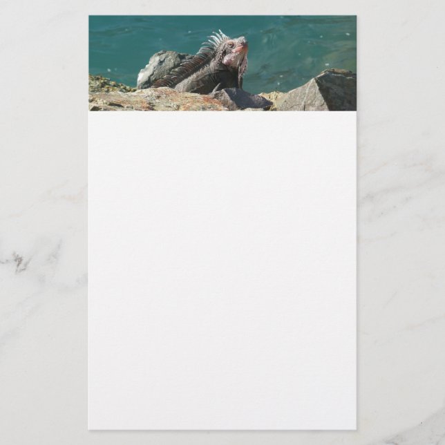 Iguana vid St. Thomas Brevpapper (Framsida)