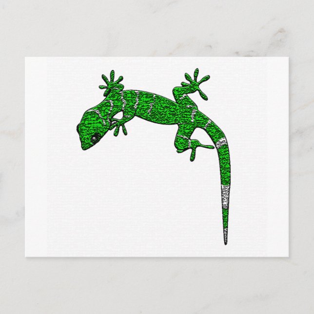 iguana vykort (Framsida)