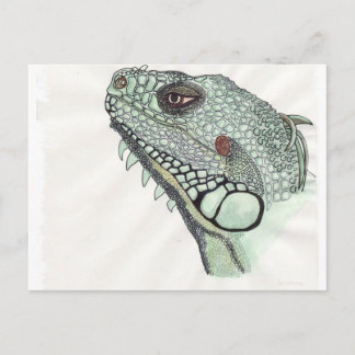 Iguana Vykort
