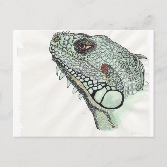 Iguana Vykort (Framsida)