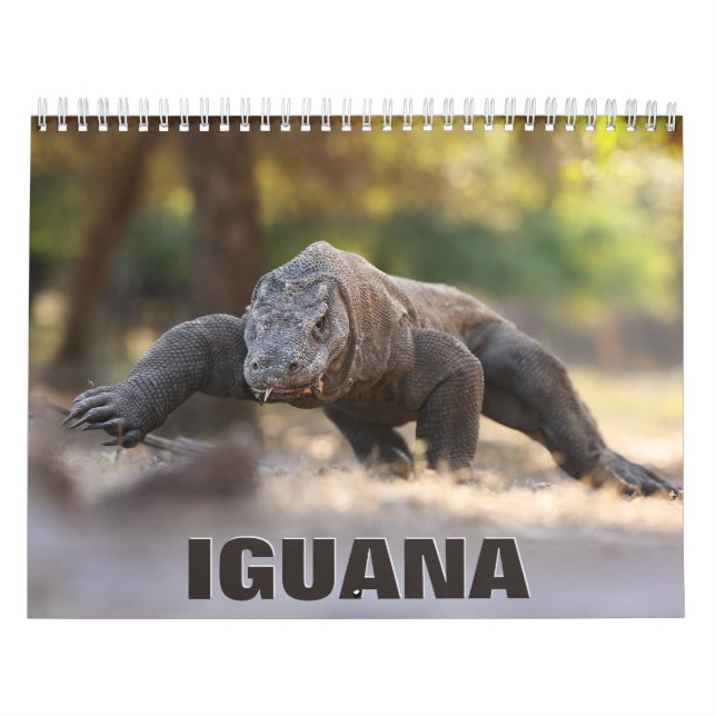 Iguana Wall Calendar Kalender (Omslag)