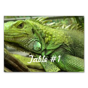 Iguanas och Lizards Bordsnummer