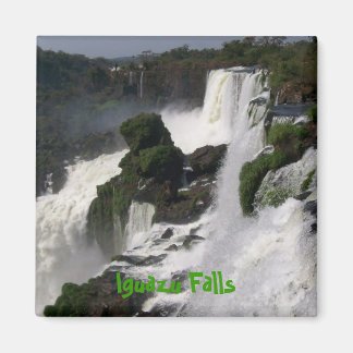 Iguazu Falls Magnet